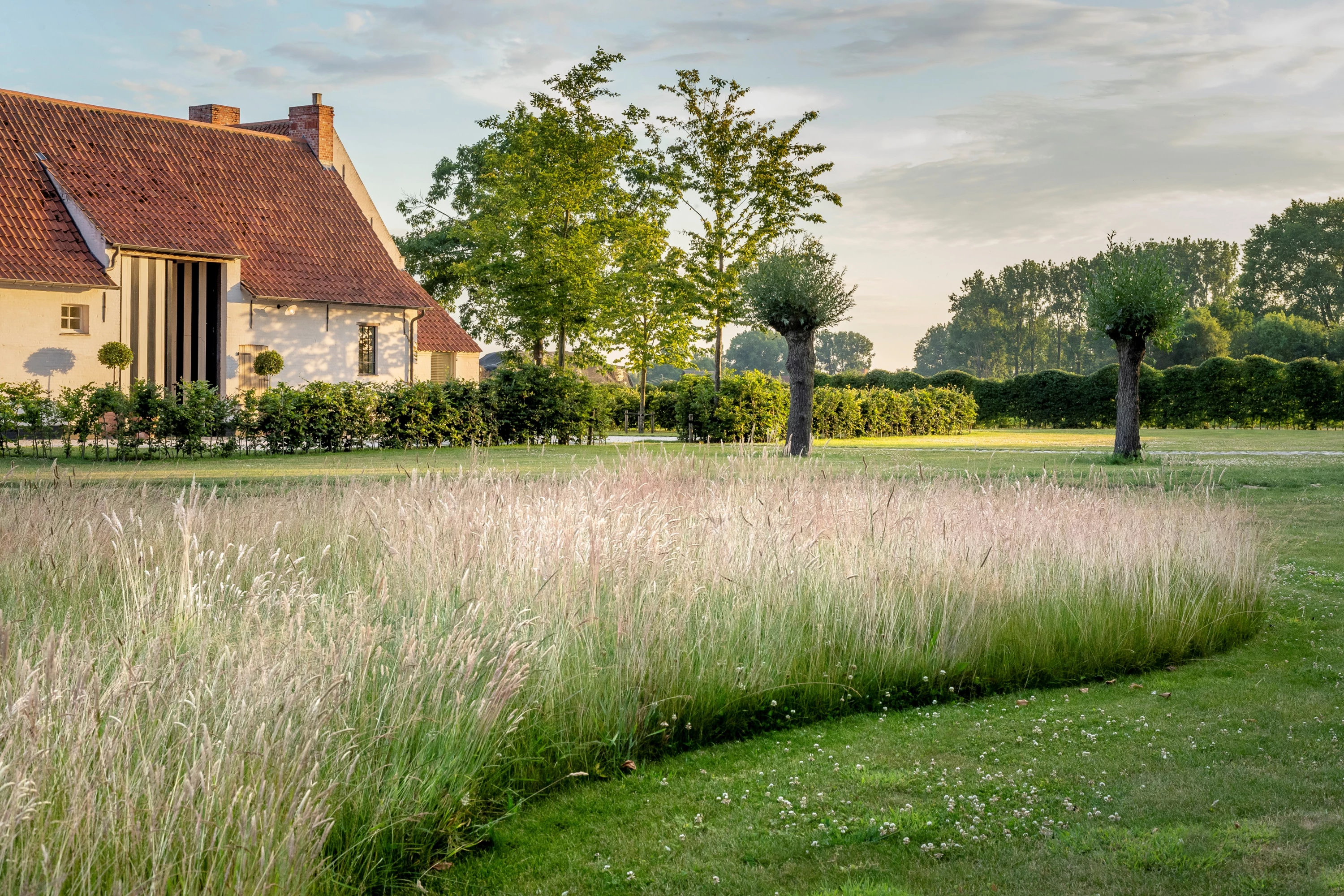 Hoeve BR