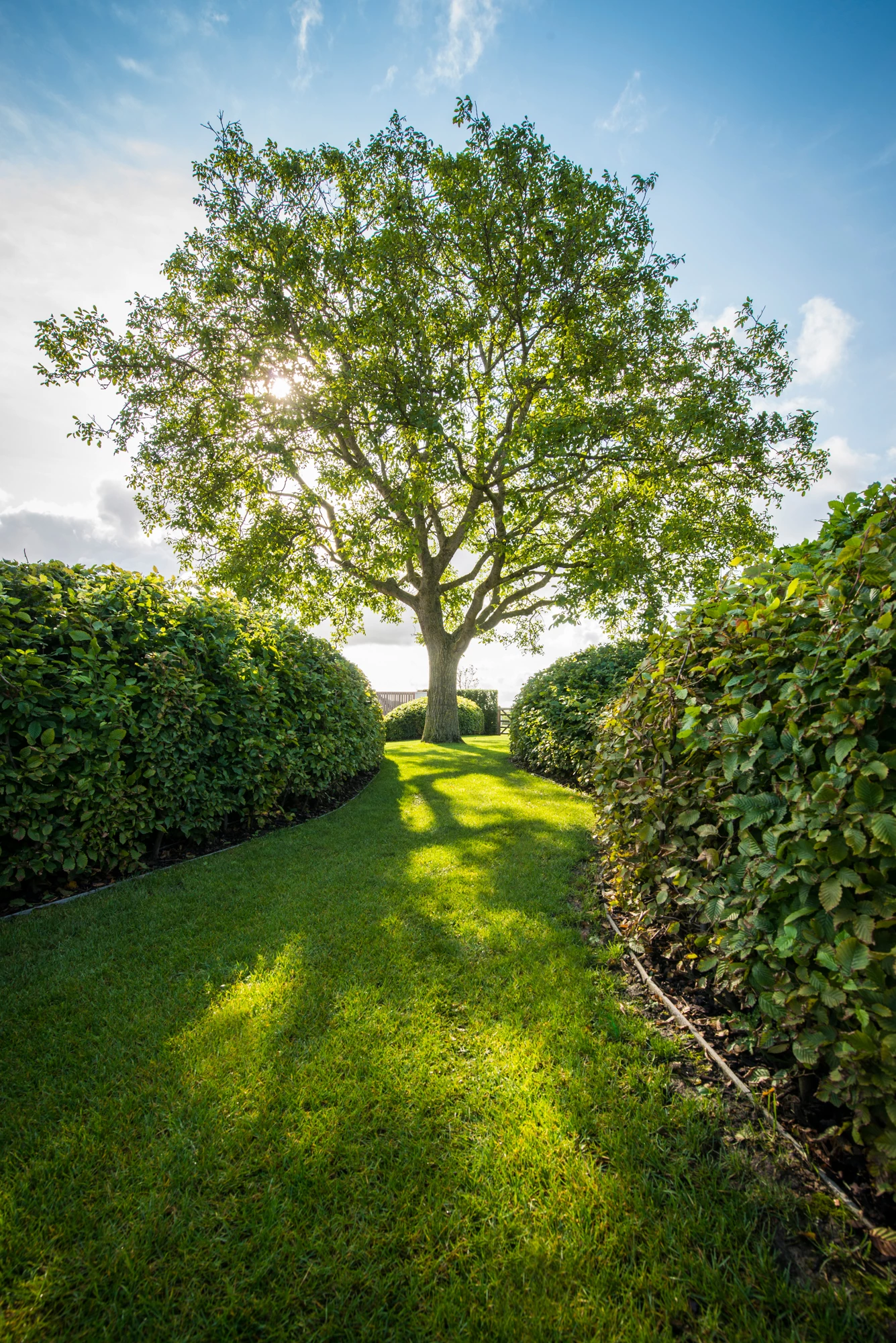 Landschapstuin CDE
