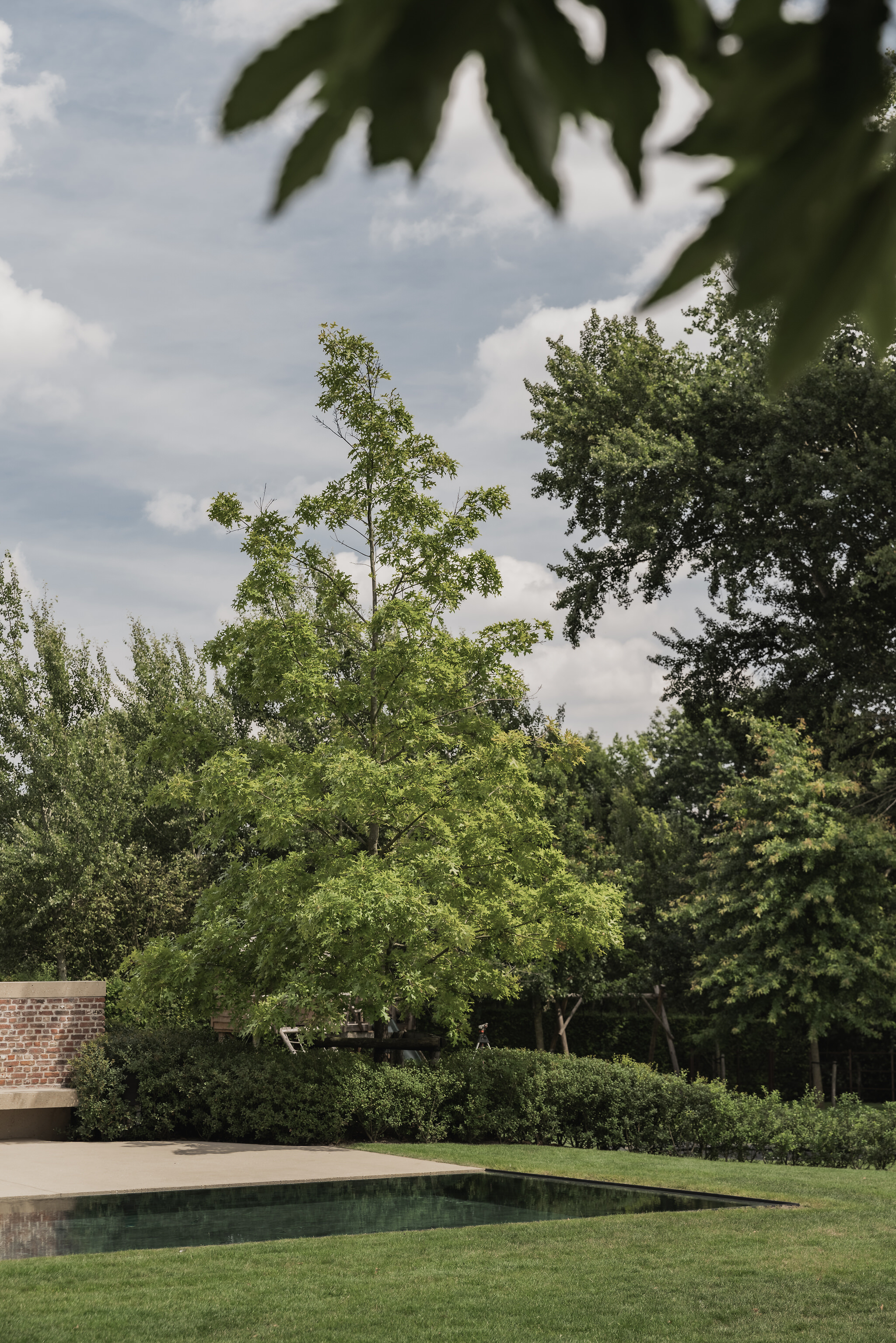 Landschapstuin DR