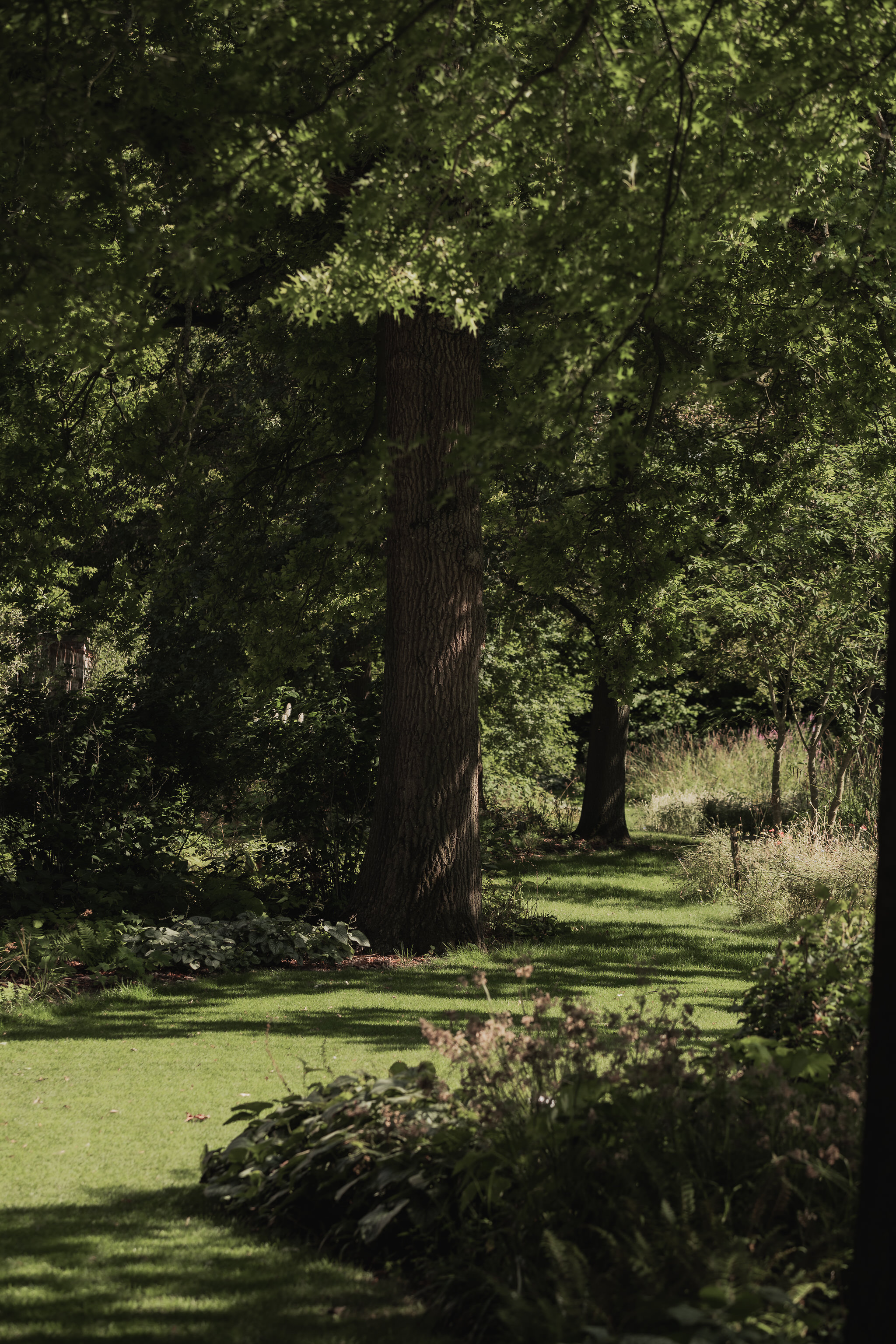 Parktuin MS